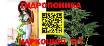 индика Моздок