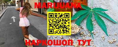 индика Моздок