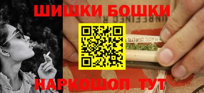 индика Моздок