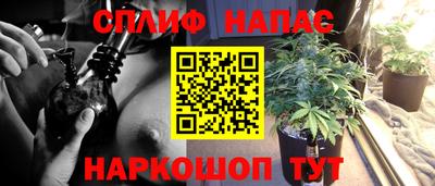 индика Моздок