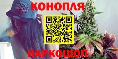 индика Моздок