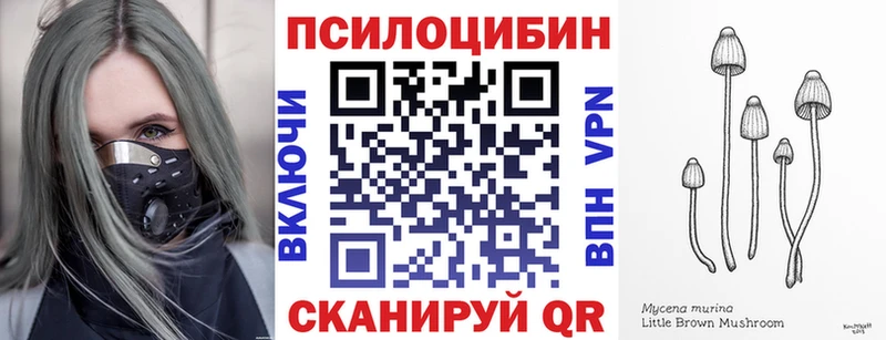 Галлюциногенные грибы Cubensis  Купить  Зеленокумск 