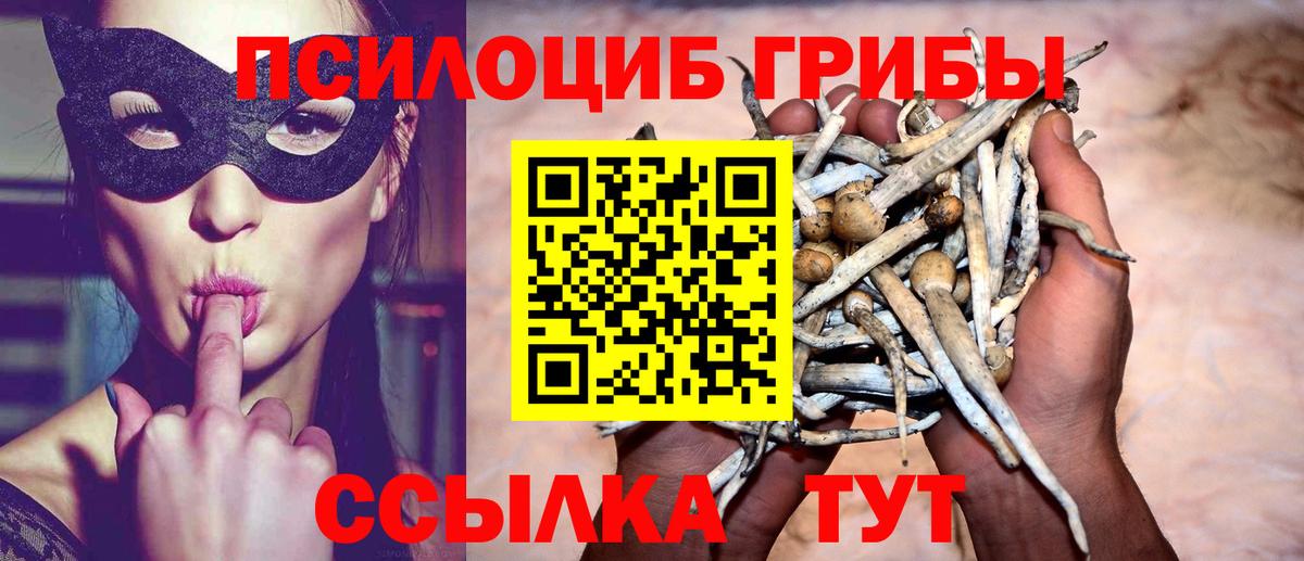 Псилоцибиновые грибы MAGIC MUSHROOMS  Вход с VPN  Псилоцибиновые грибы мухоморы  Зеленокумск 