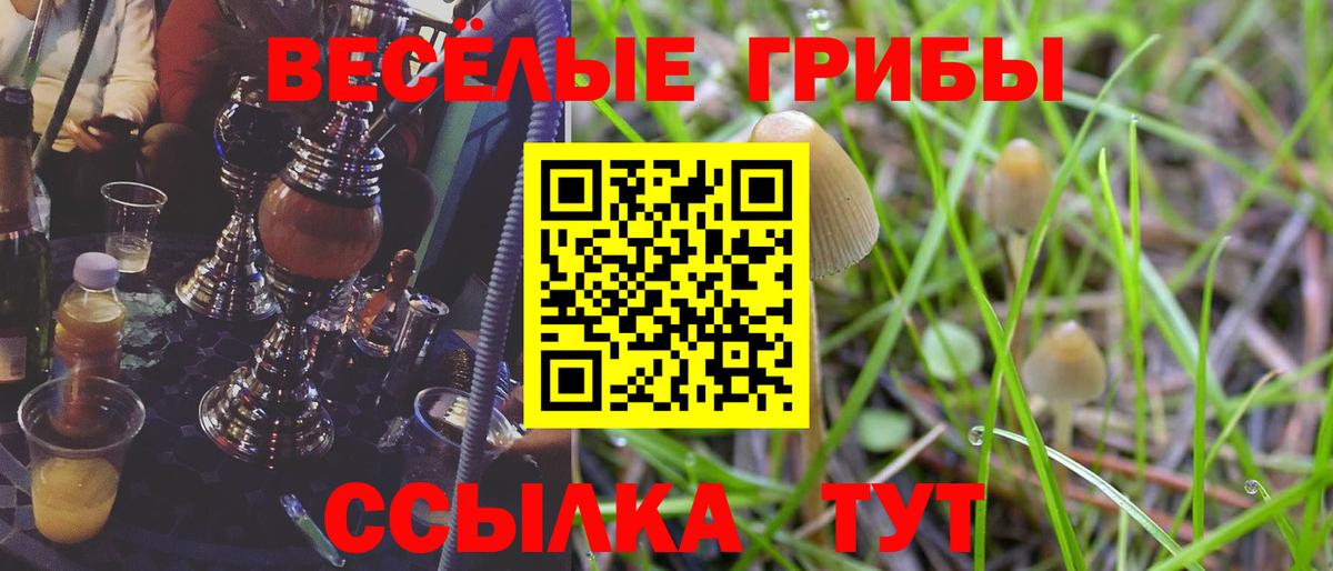 Псилоцибиновые грибы Magic Shrooms Зеленокумск