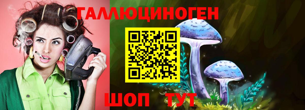 Псилоцибиновые грибы мухоморы  Галлюциногенные грибы Cubensis  где можно купить наркотик  Зеленокумск 