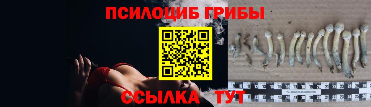 Галлюциногенные грибы ЛСД Зеленокумск