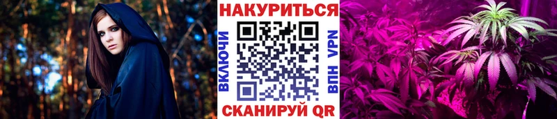 МАРИХУАНА SATIVA & INDICA  Купить закладки  Зеленокумск 